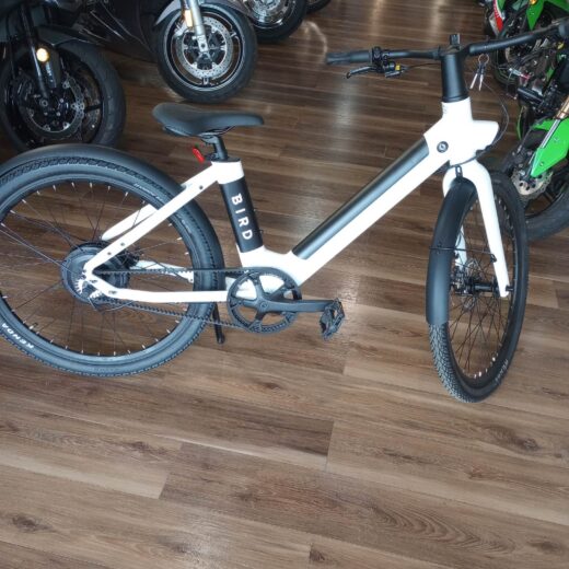 2023 V-FRAME ELECTRIC BIKE